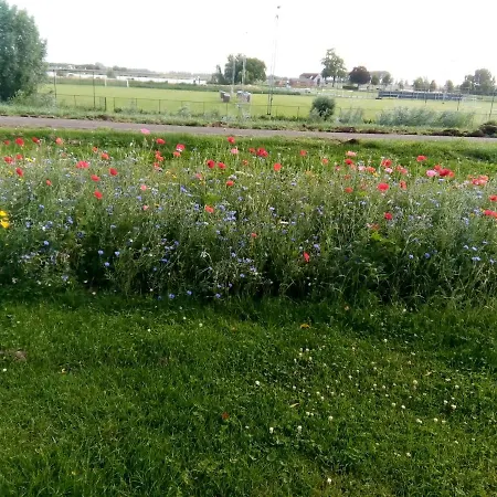 Aandedijkinbrakel Bed & Breakfast