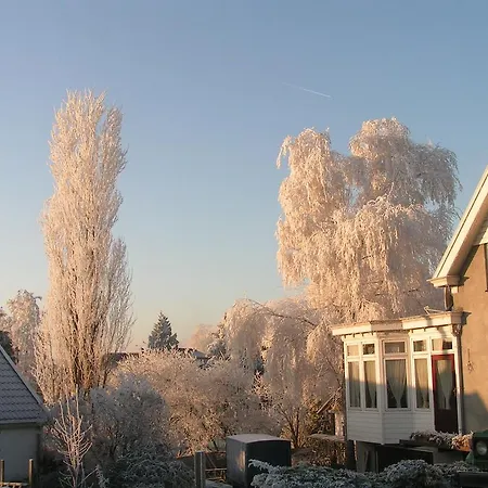 Aandedijkinbrakel Zaltbommel